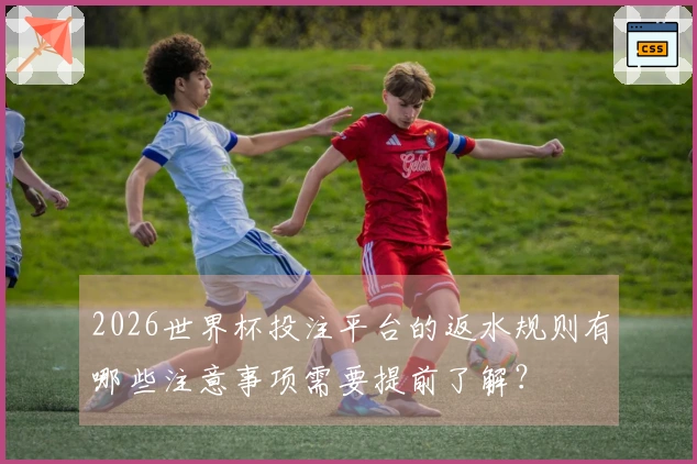 2026世界杯投注平台的返水规则有哪些注意事项需要提前了解？