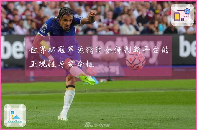 世界杯冠军竞猜时如何判断平台的正规性与安全性