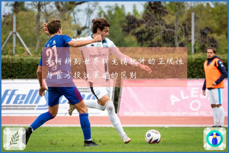 如何辨别世界杯竞猜软件的正规性与官方投注渠道的区别