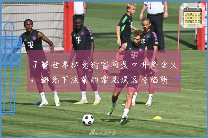 了解世界杯竞猜官网盘口升降含义，避免下注前的常见误区与陷阱