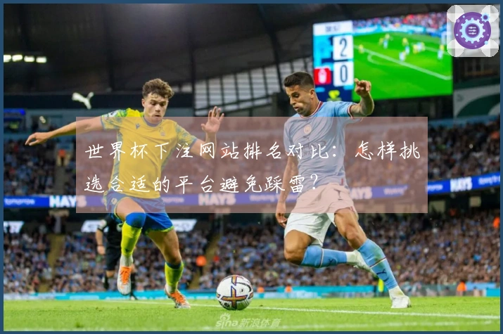 世界杯下注网站排名对比：怎样挑选合适的平台避免踩雷？