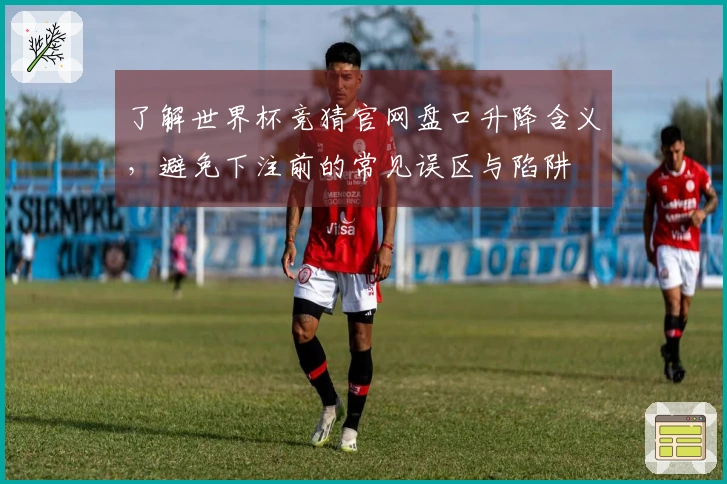 了解世界杯竞猜官网盘口升降含义，避免下注前的常见误区与陷阱