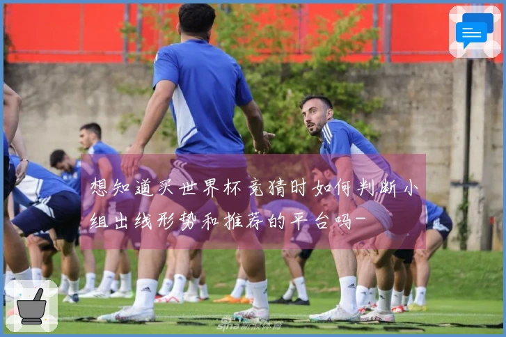 想知道买世界杯竞猜时如何判断小组出线形势和推荐的平台吗-