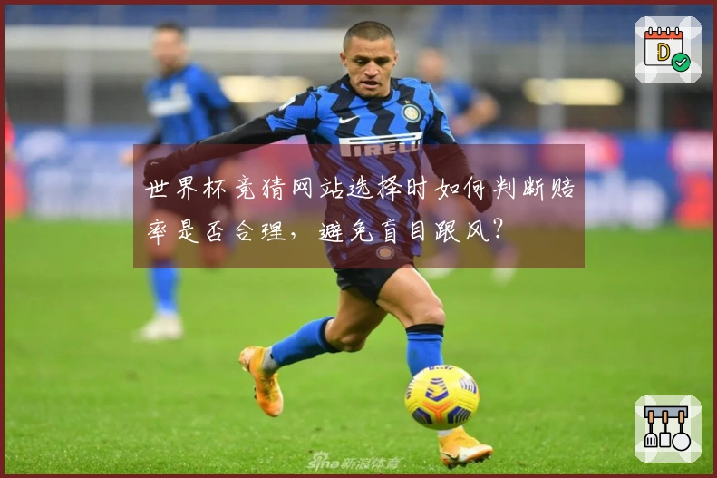 世界杯竞猜网站选择时如何判断赔率是否合理，避免盲目跟风？