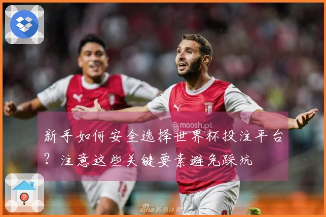 新手如何安全选择世界杯投注平台？注意这些关键要素避免踩坑