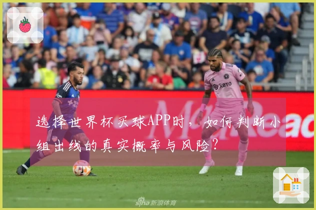选择世界杯买球APP时，如何判断小组出线的真实概率与风险？