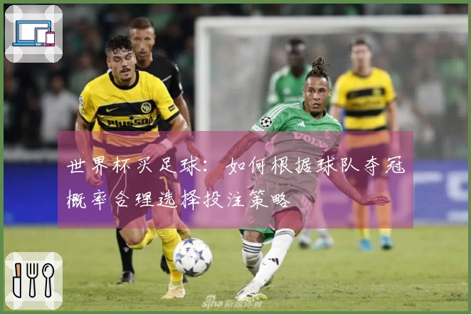 世界杯买足球：如何根据球队夺冠概率合理选择投注策略