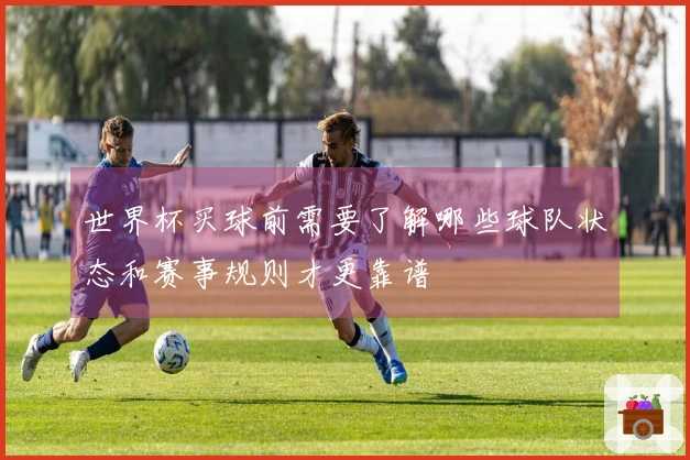 世界杯买球前需要了解哪些球队状态和赛事规则才更靠谱
