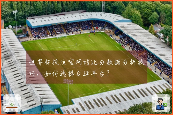 世界杯投注官网的比分数据分析技巧，如何选择合适平台？