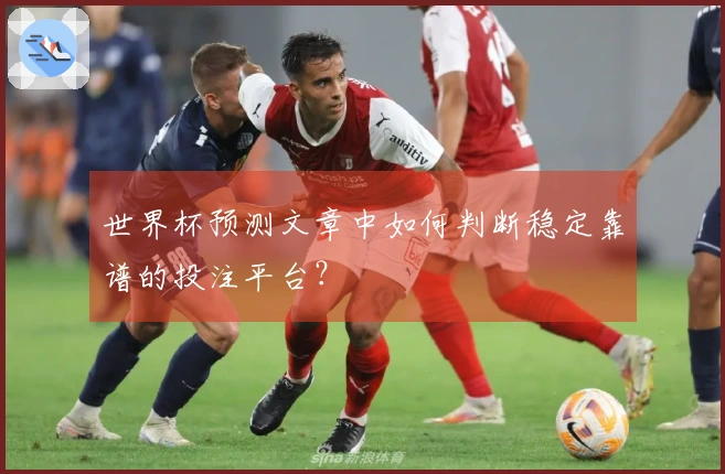 世界杯预测文章中如何判断稳定靠谱的投注平台？