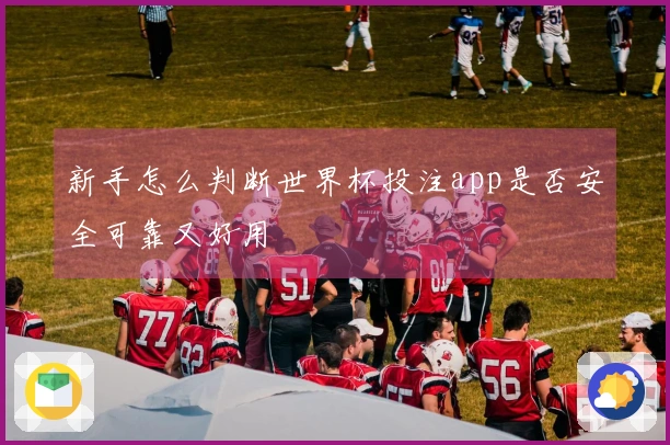 新手怎么判断世界杯投注app是否安全可靠又好用