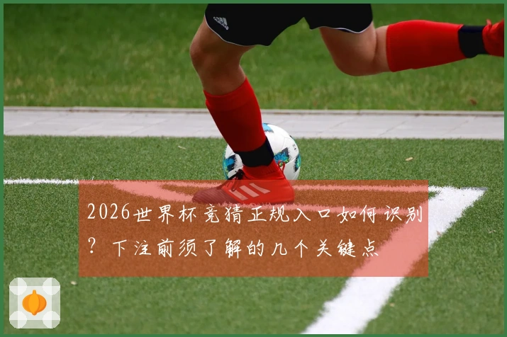 2026世界杯竞猜正规入口如何识别？下注前须了解的几个关键点