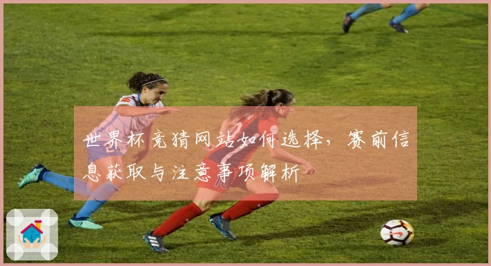 世界杯竞猜网站如何选择，赛前信息获取与注意事项解析