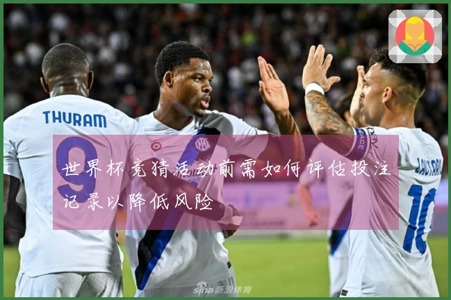 世界杯竞猜活动前需如何评估投注记录以降低风险