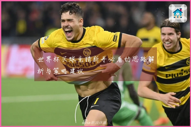 世界杯买球竞猜新手必看的思路解析与策略建议