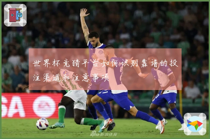 世界杯竞猜平台如何识别靠谱的投注渠道和注意事项