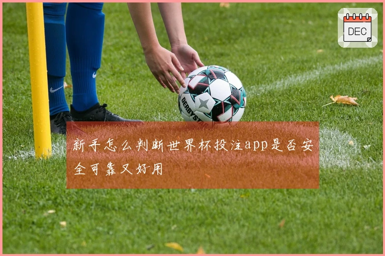 新手怎么判断世界杯投注app是否安全可靠又好用