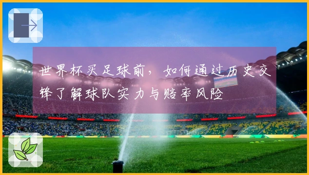 世界杯买足球前，如何通过历史交锋了解球队实力与赔率风险