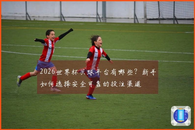 2026世界杯买球平台有哪些？新手如何选择安全可靠的投注渠道