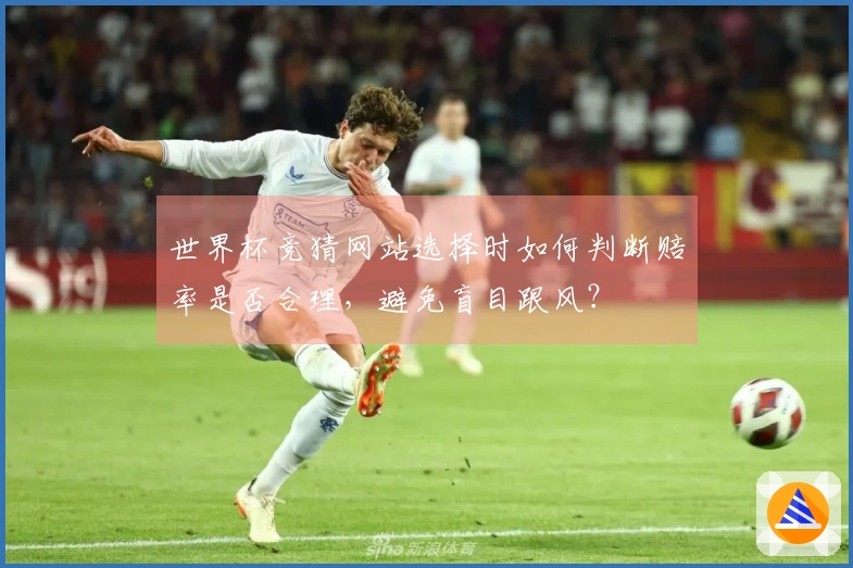 世界杯竞猜网站选择时如何判断赔率是否合理，避免盲目跟风？