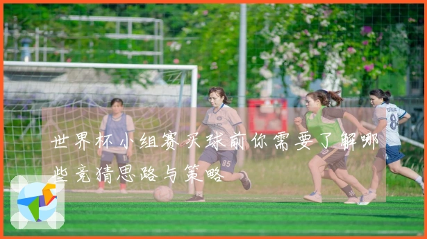 世界杯小组赛买球前你需要了解哪些竞猜思路与策略